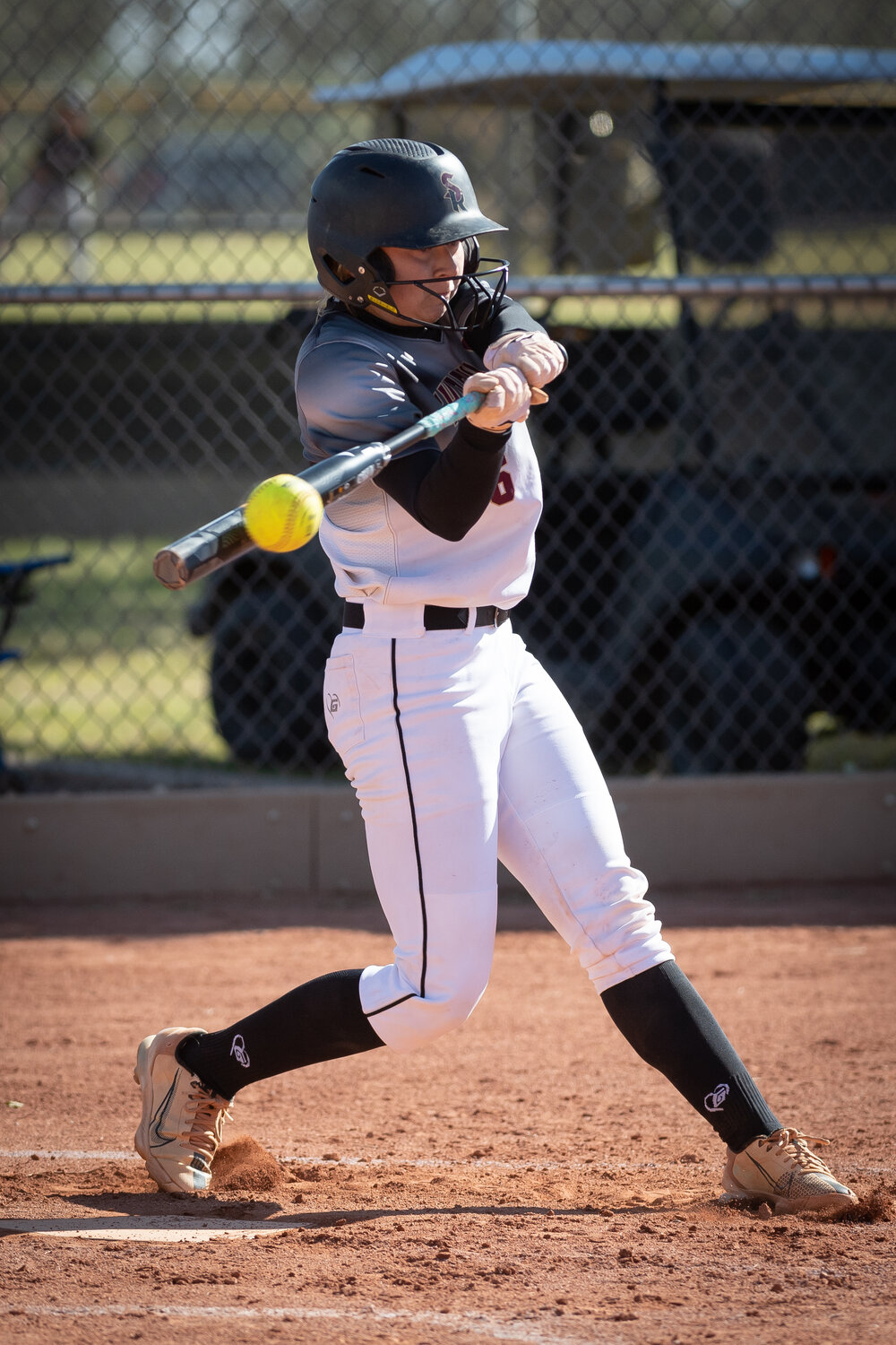 The 2023 All-West Valley Preps Softball Team | Daily Independent